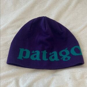 Purple/Teal Patagonia Beanie